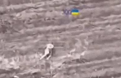 皇冠信用网会员_数十名俄军吞枪自杀皇冠信用网会员,多名女兵被炸死!用枪爆头会有痛苦吗?