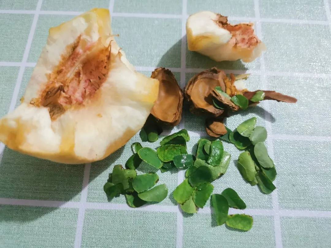 皇冠信用網如何注册_咬开桃子发现一堆树叶?莫慌皇冠信用網如何注册!你是遇到了它→