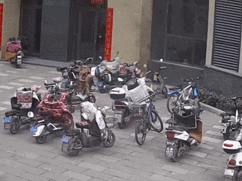 皇冠信用盘账号_上海街头一女子突然倒地皇冠信用盘账号，满脸是血！很多人用过，已致多起意外！赶快赶快