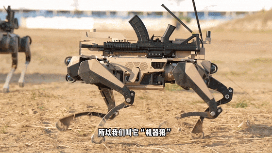 如何申请皇冠代理_九三阅兵“机器狼群”如何申请皇冠代理，首次亮相一个字：帅！与“机器狗”有这些区别→