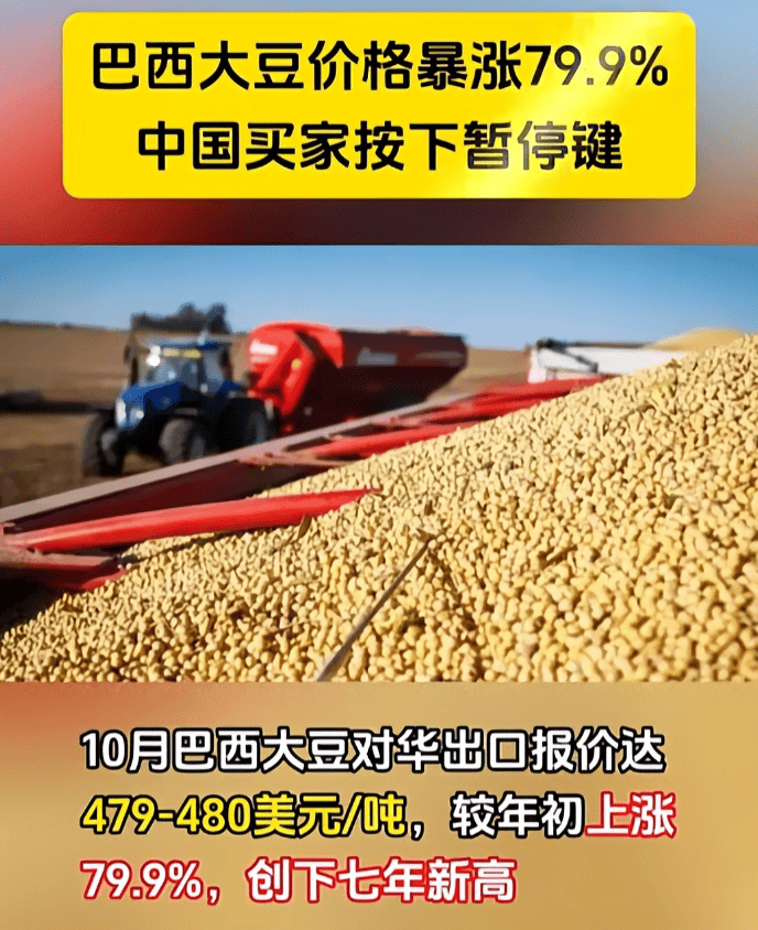 皇冠信用網去哪里弄_反制升级了！巴西大豆被中国停购后皇冠信用網去哪里弄，转身就对中企下狠手，中方亮明态度