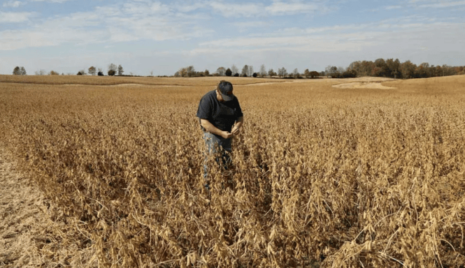 布里斯托城 vs 布莱克本_谈妥了又突然变卦！中国复购美国大豆换关税暂停布里斯托城 vs 布莱克本，美贸易代表直接通告全球：继续查中国