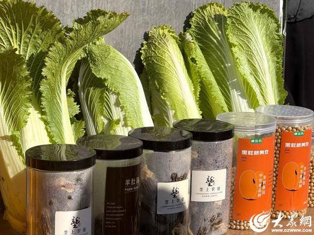 皇冠体育App下载
_山东青岛:全国首批“板蓝根白菜”喜获丰收皇冠体育App下载
,正式上市!首批10万棵已被上海采购商“包圆”