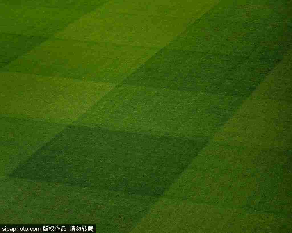 南非足球世界杯_足协杯决赛票务争夺战：河南球迷购票超两万南非足球世界杯，北京球迷面临一票难求