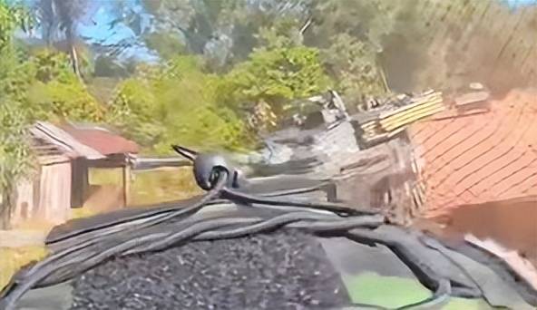 皇冠信用网代理申请_神仙打架了！泰国VT-4坦克与柬军40火对轰皇冠信用网代理申请，结局让所有人意想不到