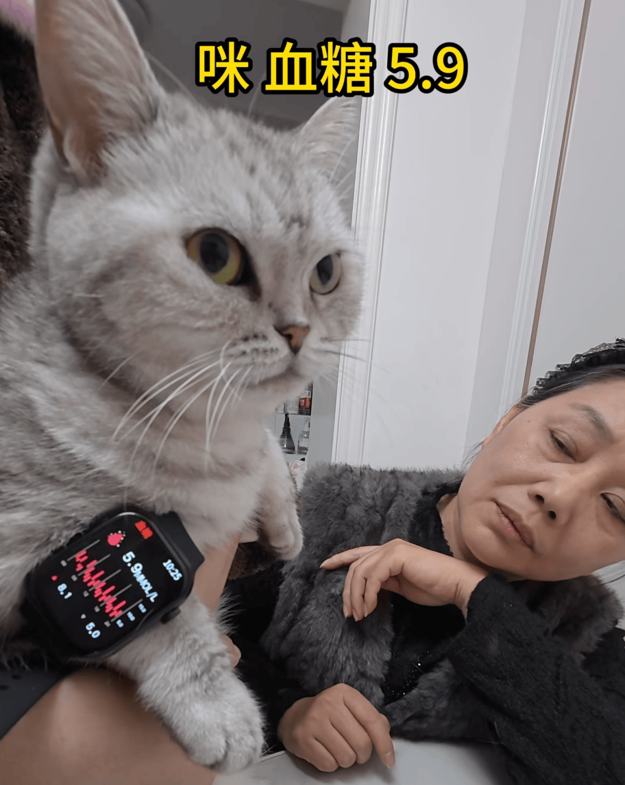 如何申请皇冠信用网_父母花84元网购“神奇手表”如何申请皇冠信用网,儿子发现能测万物:猫咪血糖5.9,吸尘器血糖7.4,父母:下次不买了