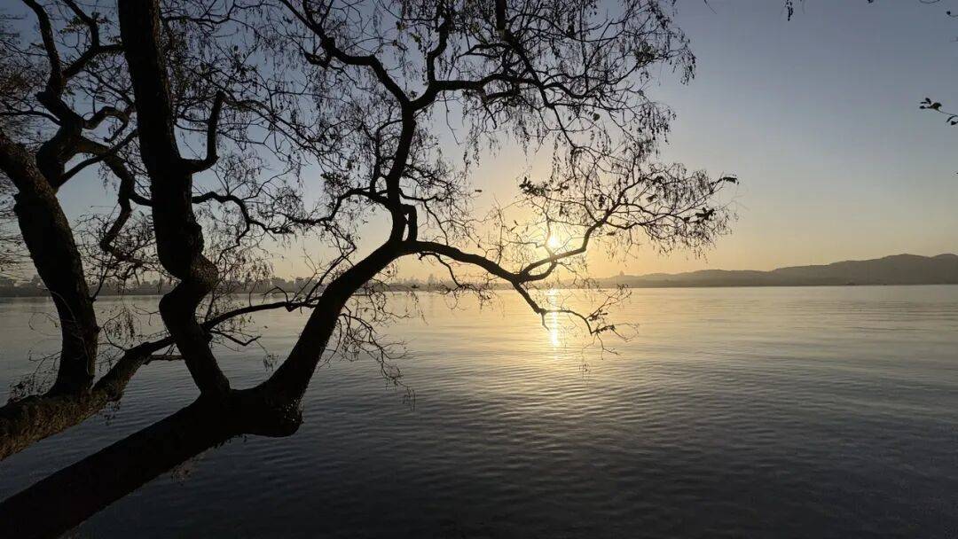 皇冠ag mos011
_清晨意外掉入西湖皇冠ag mos011
,却被一群人“团宠”!22岁广州姑娘直呼:杭州真好!